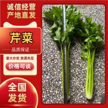 【热卖推荐】芹菜专卖河南产地直销量大从优可对接全国市场