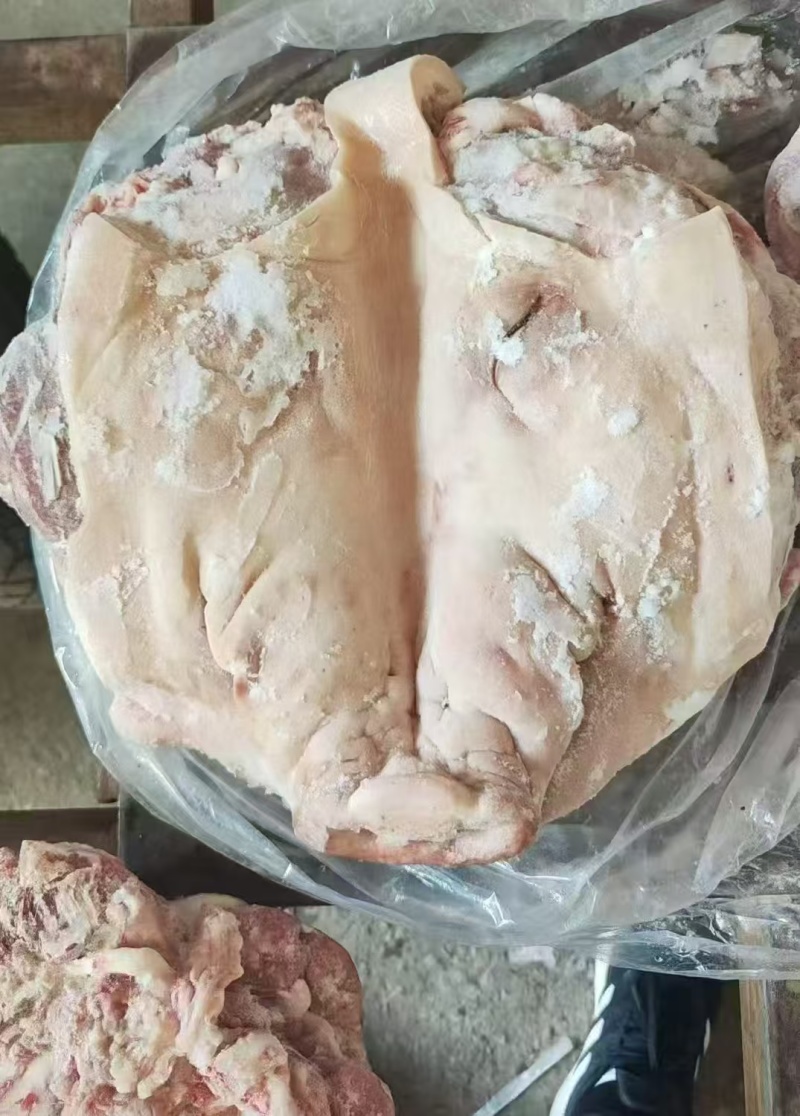 猪头