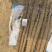 河南安阳双棒山药大量接单产地直发，量大从优欢迎来电