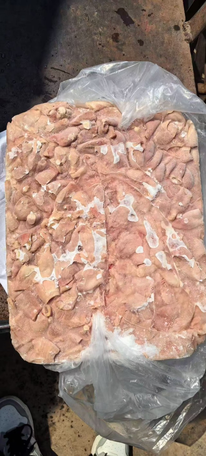 鸡腺胃8吨