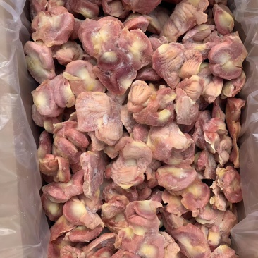 种鸡鸡胗老母鸡胗规格齐全