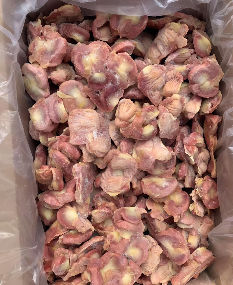 种鸡鸡胗老母鸡胗规格齐全