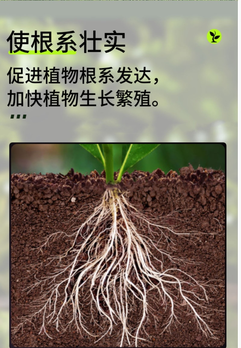 氨基酸水溶肥
