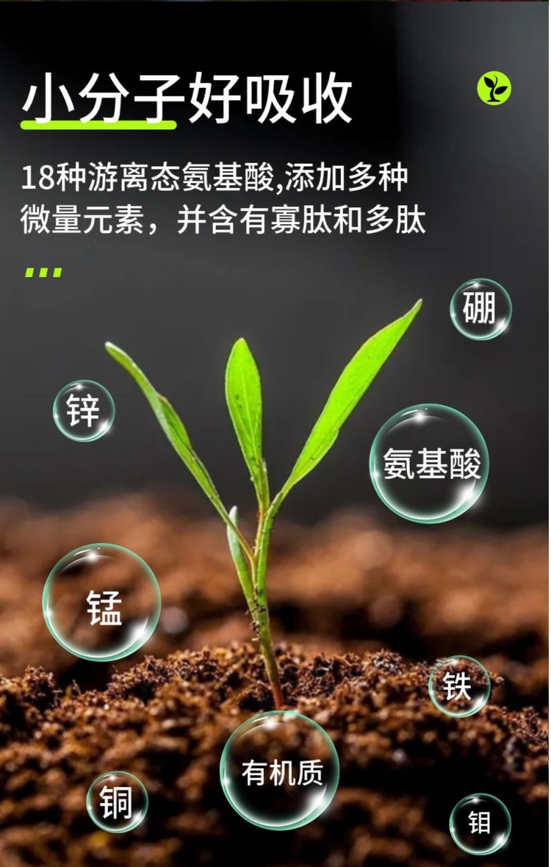 氨基酸水溶肥