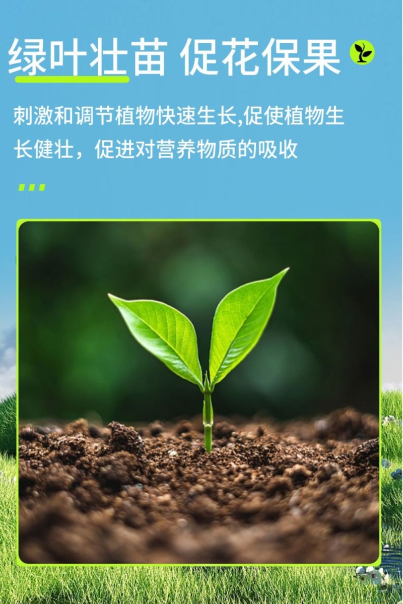 氨基酸水溶肥