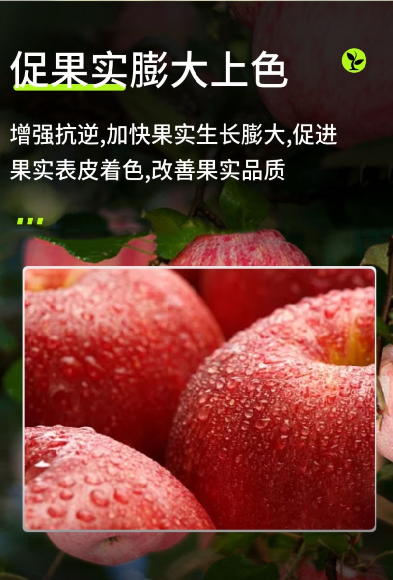氨基酸水溶肥