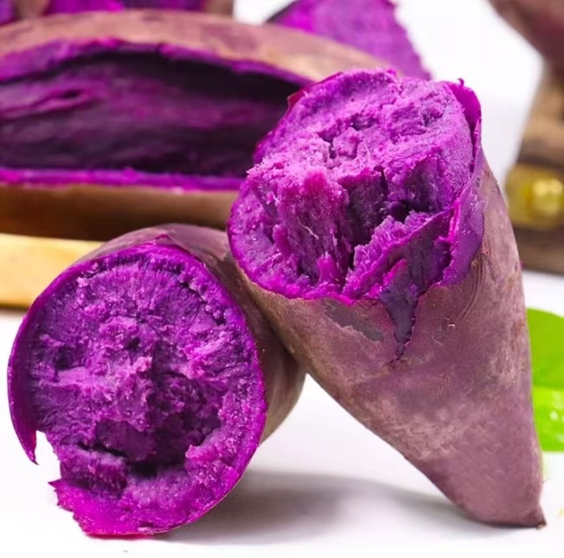 红薯/紫薯/蜜薯/产地直供/一手货源/品质高优/欢迎采购