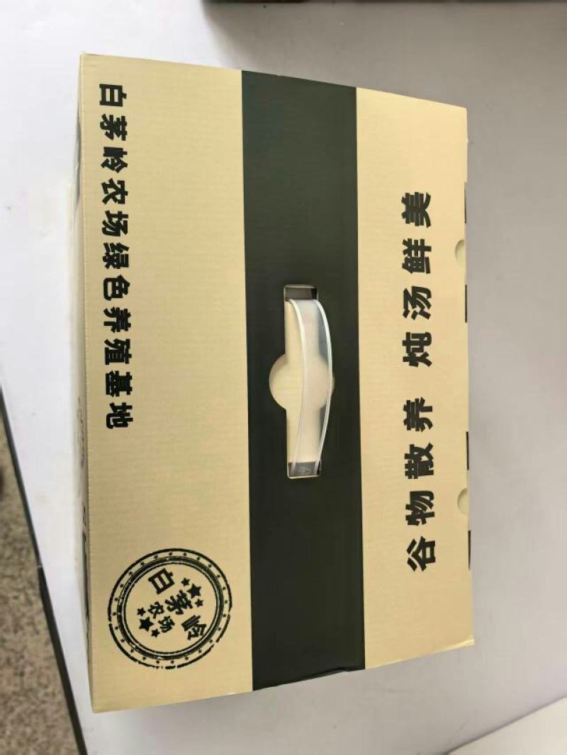 皖南生态养殖老鸭散养鸭肉质鲜美营养丰富对接团购