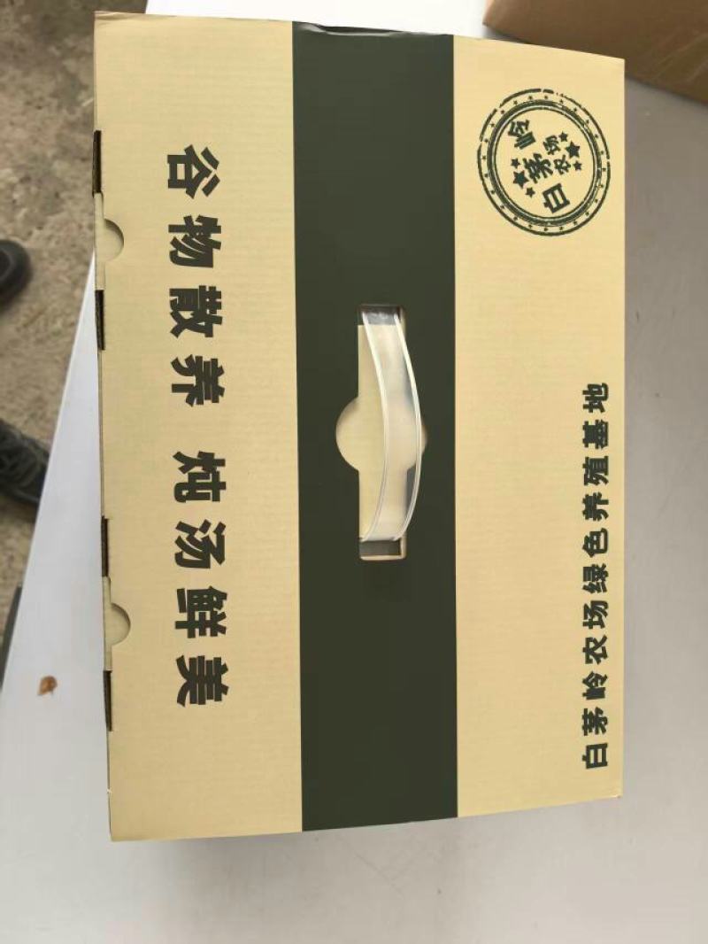 皖南生态养殖老鸭散养鸭肉质鲜美营养丰富对接团购