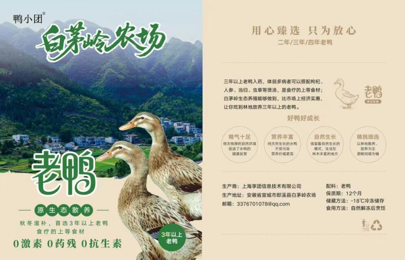 皖南生态养殖老鸭散养鸭肉质鲜美营养丰富对接团购