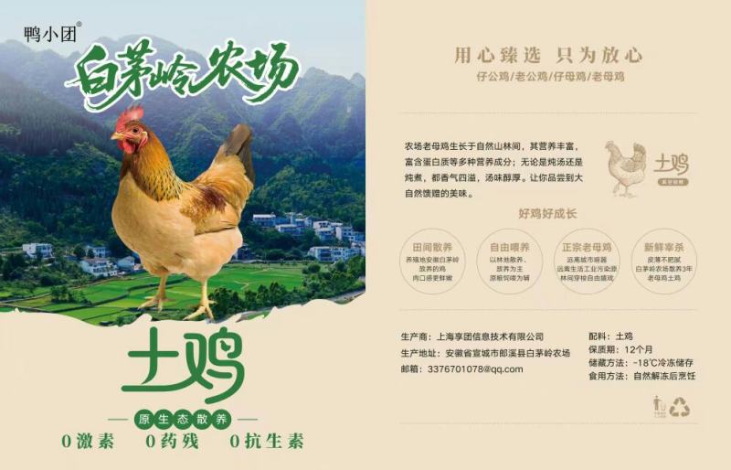 精选皖南白茅岭飞地生态活鸡母鸡公鸡均有养殖时间一年以上