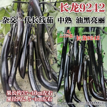 龙盛黑长茄子种子长龙9242长线茄种子油黑长条形茄子种籽