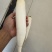 萝卜