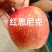 红思尼克苹果树苗，基地直发签约合同种植，管理修剪提供