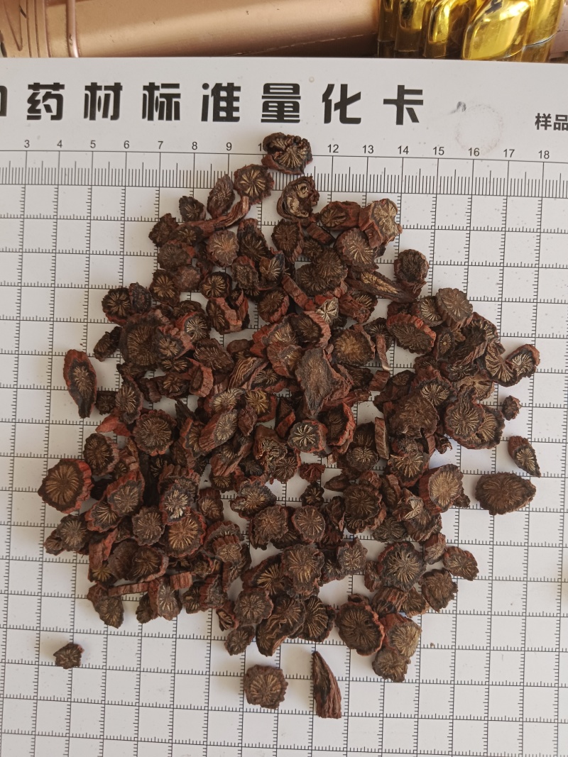 紫丹参，山东紫丹参无硫圆片产地直发过筛，实拍现货质量保证