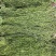 正宗贡菜苔干产地直销自然风干