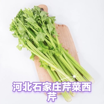 河北石家庄西芹芹菜