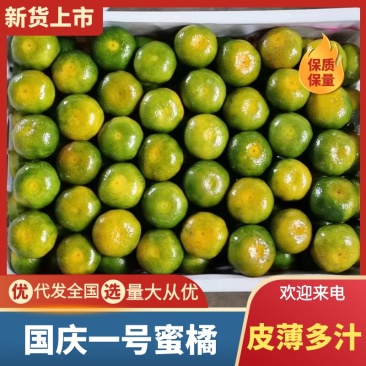 【现摘现发】湖北荆州国庆一号蜜橘一手货源保质保量