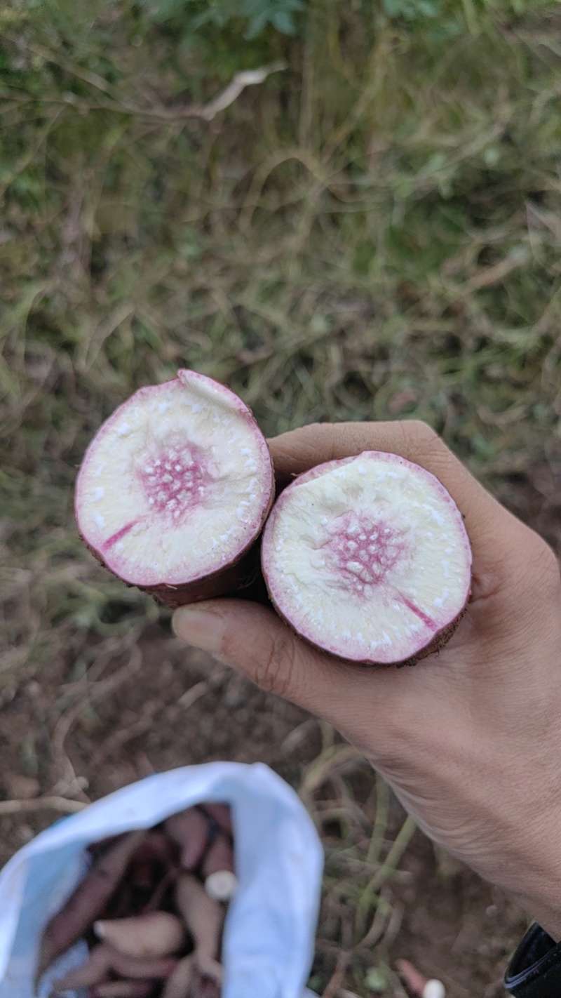 冰淇淋红薯