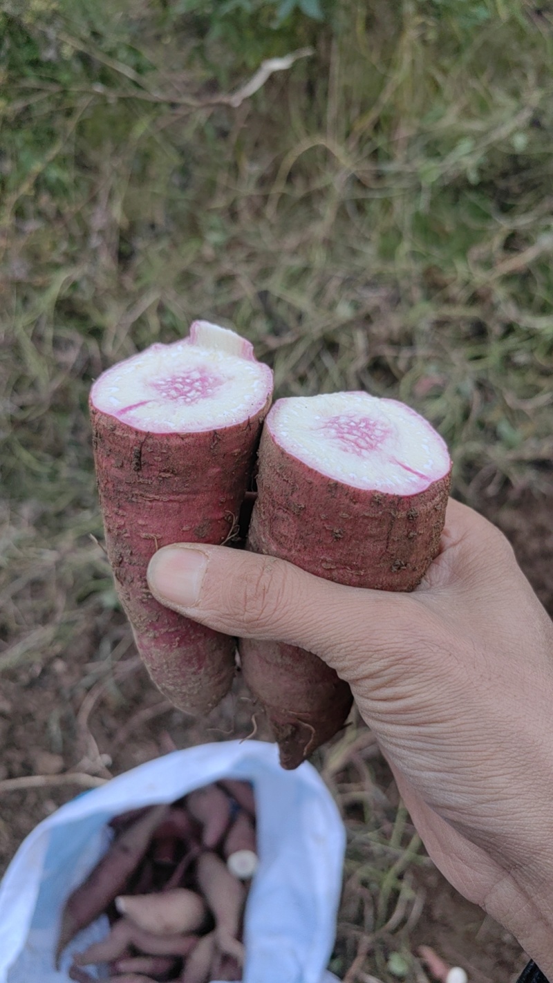 冰淇淋红薯