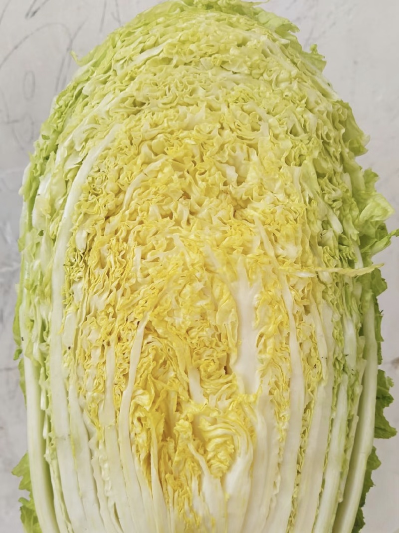【臻选】吉林白菜/吉林黄心白菜/电商团购一件代发便宜批发