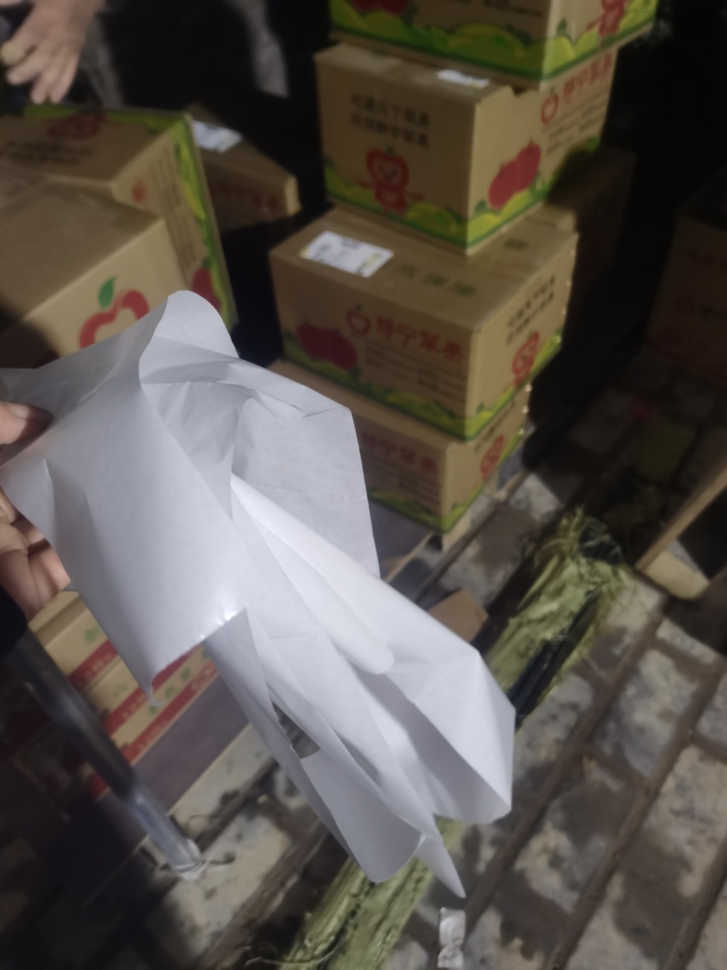 静宁山地自种红富士苹果