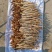 精品北沙参干货规格齐全质量保证一手货源可电话咨询
