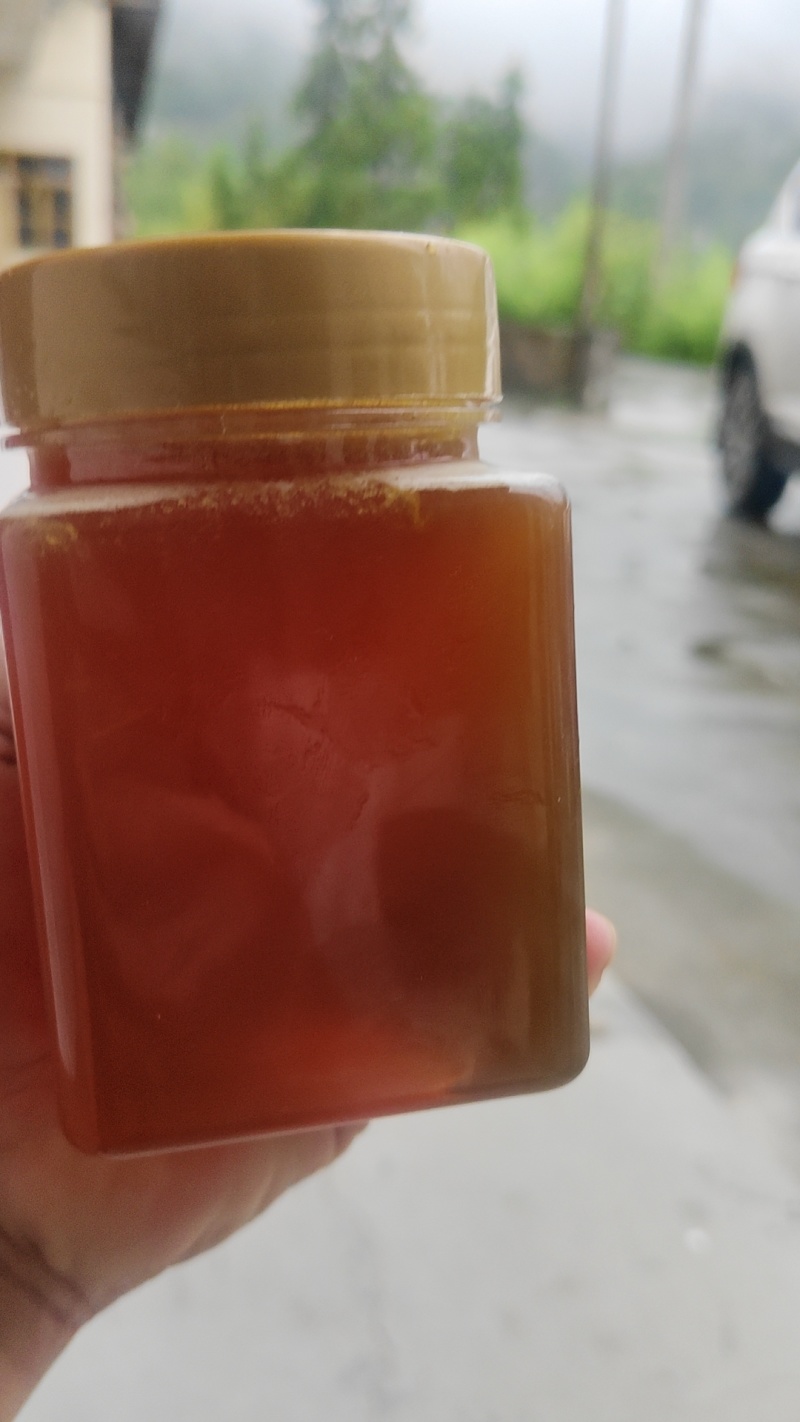 正宗土蜂蜜