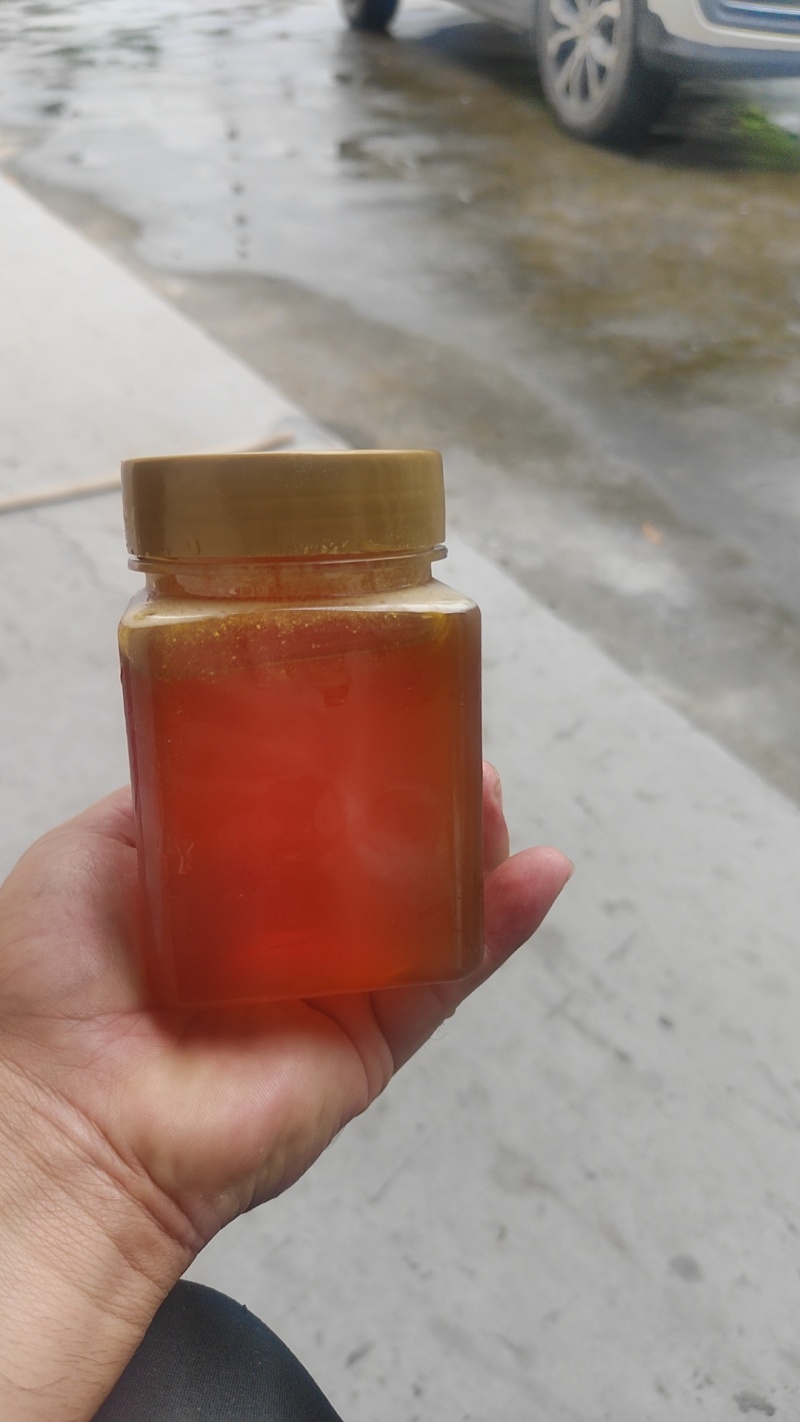 正宗土蜂蜜