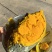 百龙农业——【农火爆精品】贵族南瓜粉糯香甜爆粉面甜