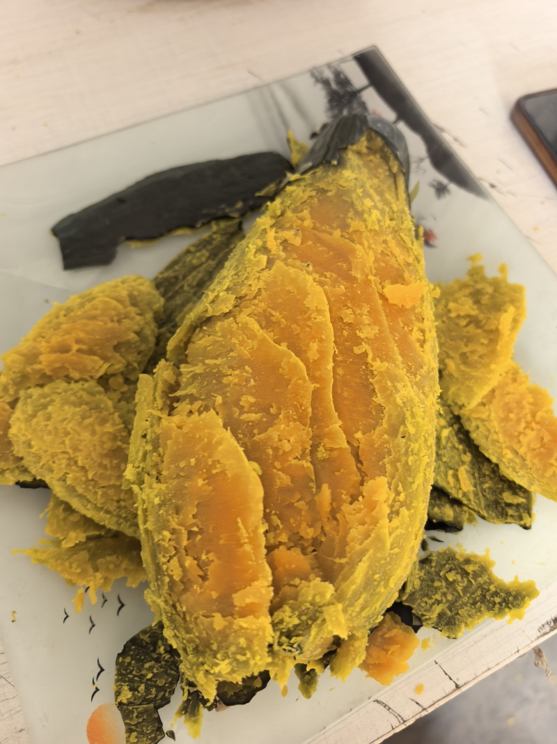 百龙农业——【农火爆精品】贵族南瓜粉糯香甜爆粉面甜
