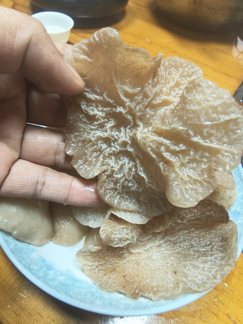 羊肚木耳