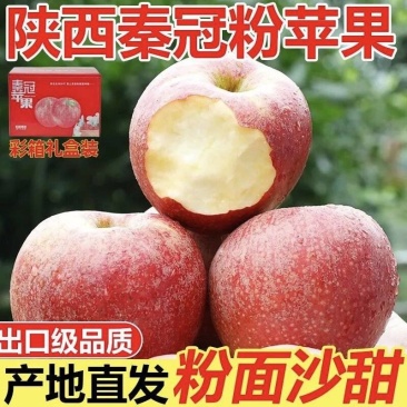 秦冠苹果全红,硬度好,甜度高,个头大,量大接受各大市场