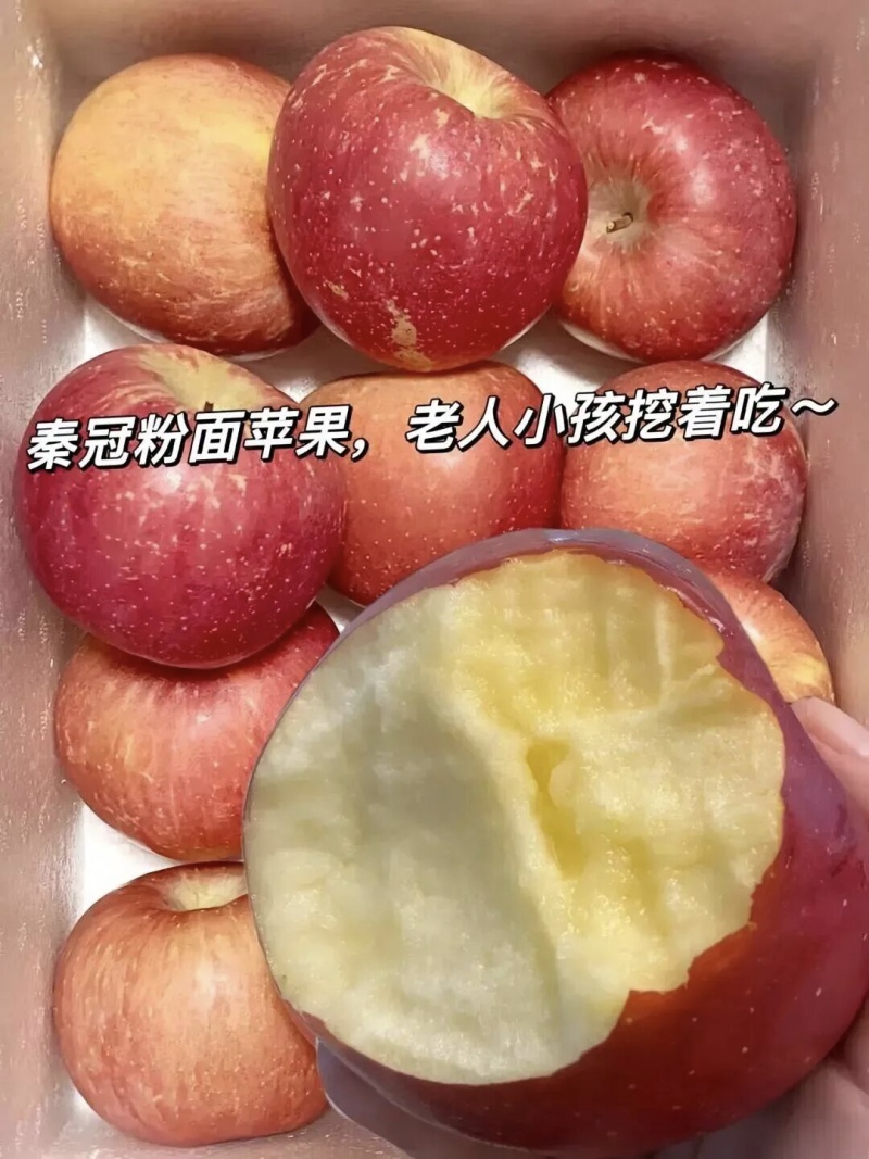 秦冠苹果全红，硬度好，甜度高，个头大，量大接受各大市场