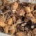 豆包芋头种产地直发品质保证价格优惠实力商家欢迎详聊