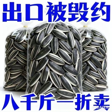内蒙古赤峰363大生瓜子千粒重200左右大货**