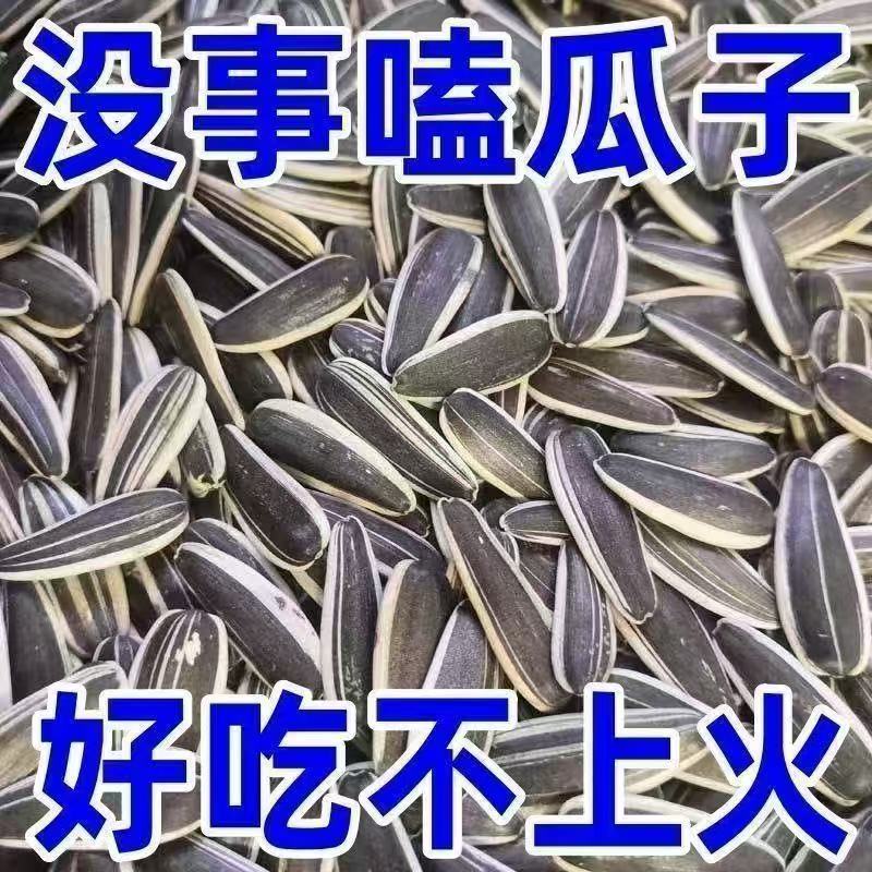 内蒙古赤峰363大生瓜子千粒重200左右大货**