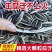 内蒙古赤峰363大生瓜子千粒重200左右大货**