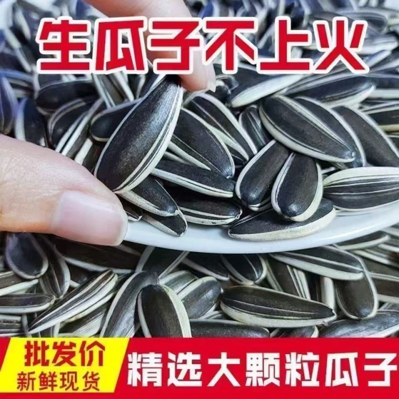 内蒙古赤峰363大生瓜子千粒重200左右大货**
