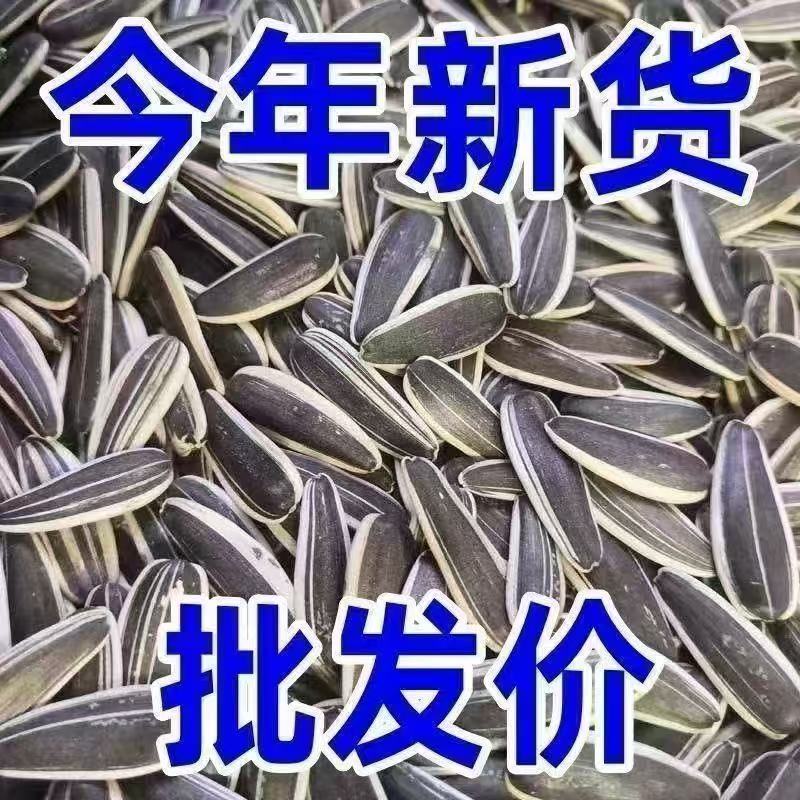 内蒙古赤峰363大生瓜子千粒重200左右大货**