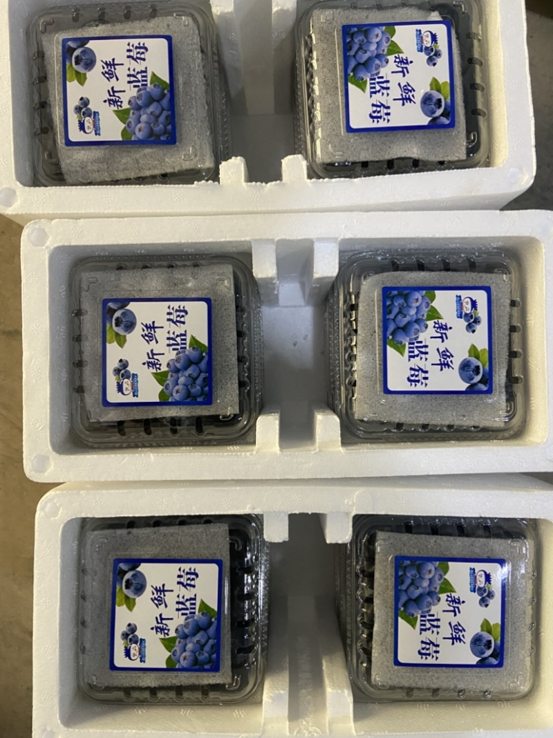云南花香蓝莓自有基地特级果18mm+一件代发顺丰空运包邮