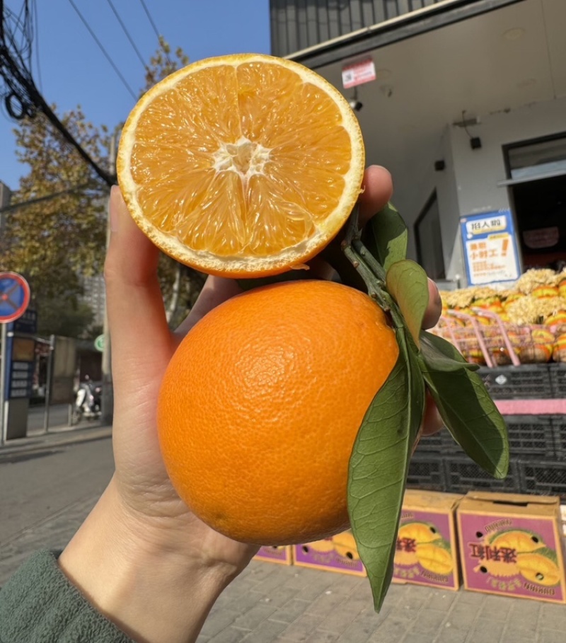湖南脐橙湘西脐橙大量供应质优价廉欢迎来电咨询