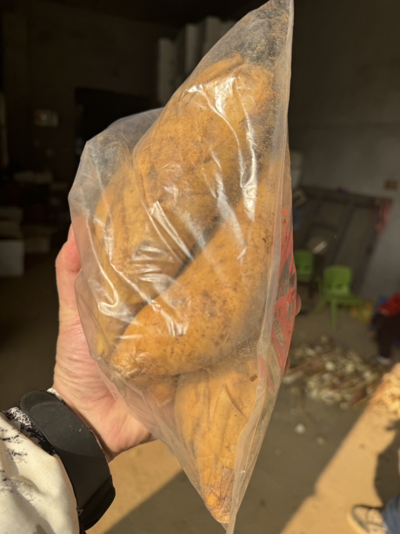 冬笋，新鲜现挖冬笋农家竹笋尺寸电商一件代产地源头春笋