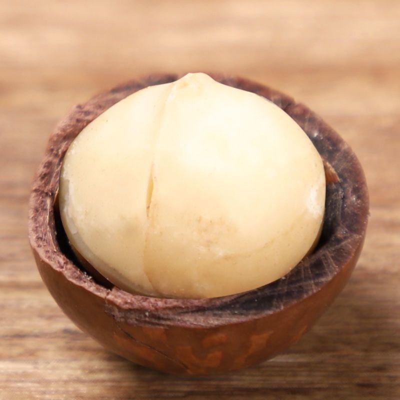 夏威夷果现货一件代发批量