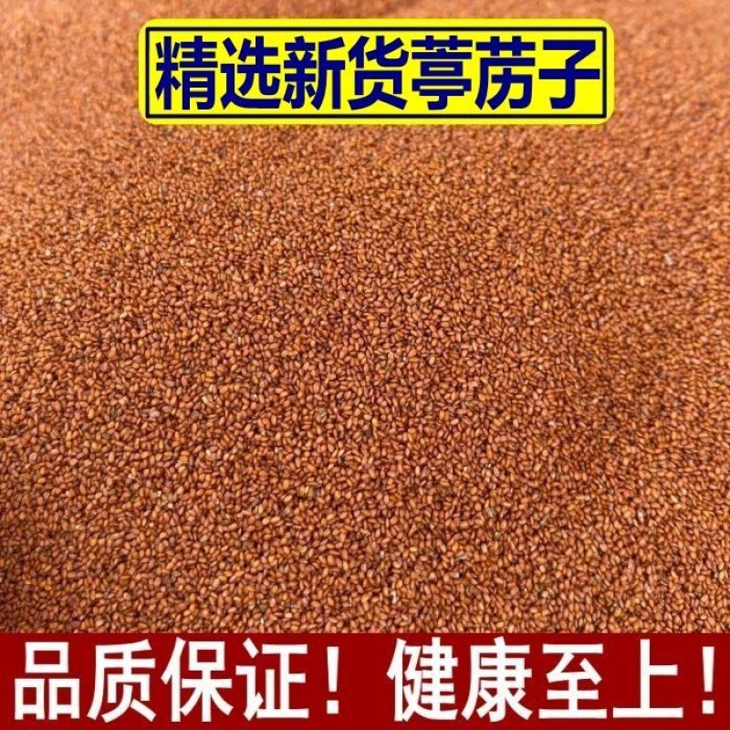 葶苈子中药材葶苈子正宗无硫当季新货精挑细选正品