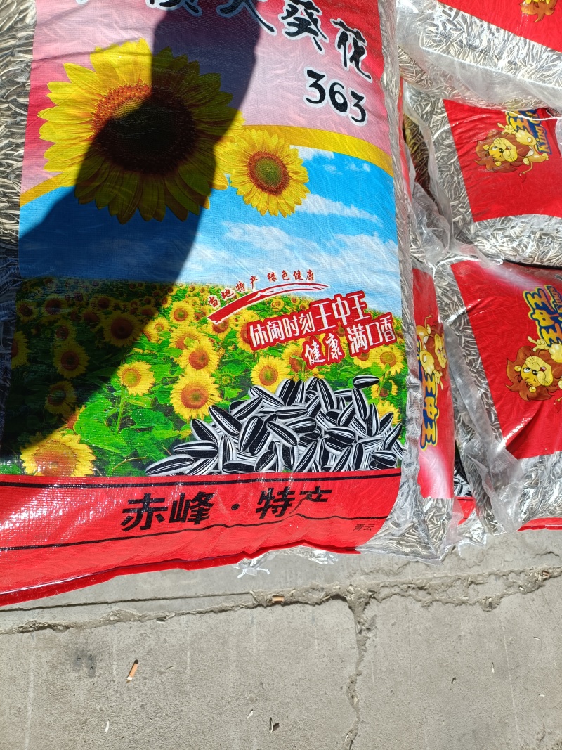 赤峰市800亩优质葵花生长中
