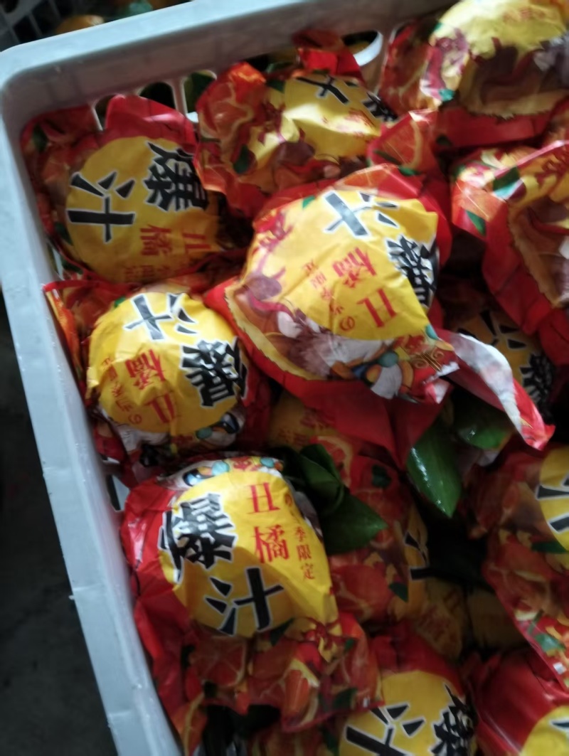 湖北不知火丑橘产地直发货源充足可视频看货