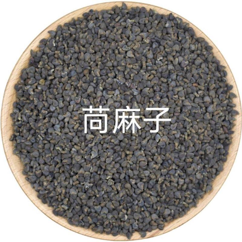苘麻子中药材青麻子正品干净无杂当季新货苘麻子