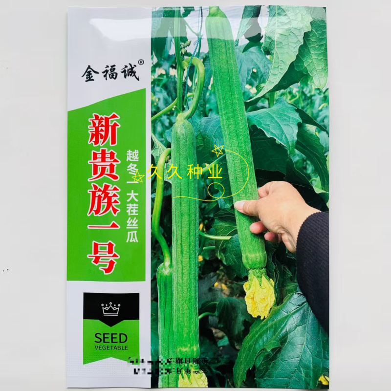 新贵族一号长棒丝瓜种子越冬一大茬丝瓜种子肉厚质硬心腔小