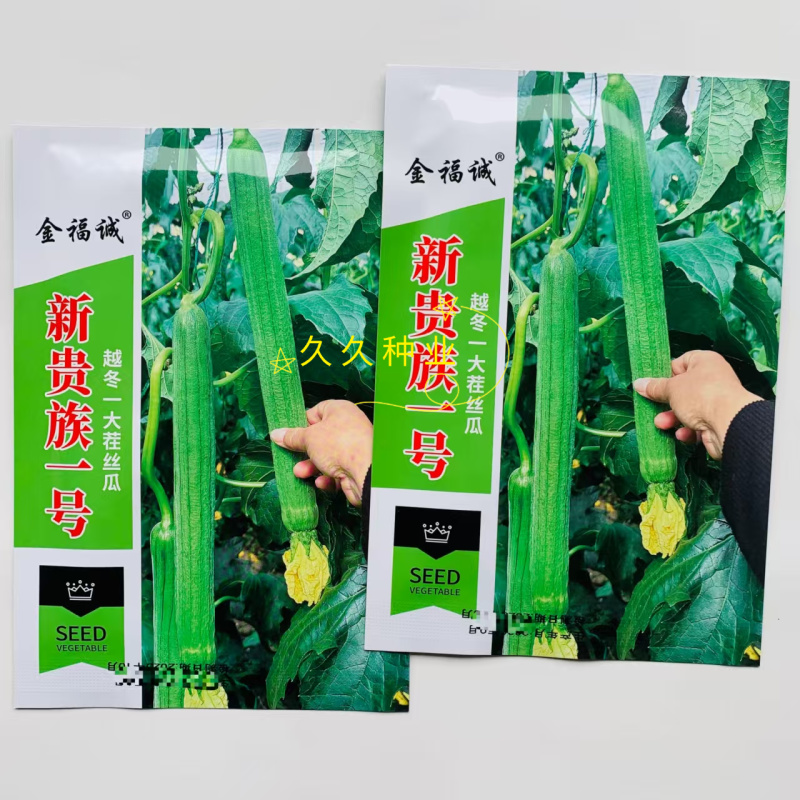 新贵族一号长棒丝瓜种子越冬一大茬丝瓜种子肉厚质硬心腔小
